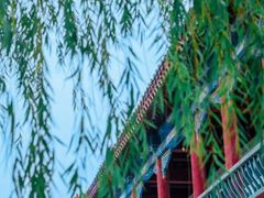 -中国翰园碑林