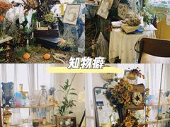 -知物癖(牛王庙店)