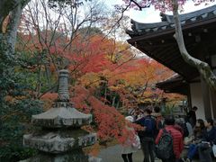 -常寂光寺