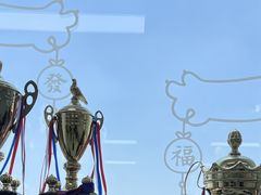 -GSTMMA综合格斗馆