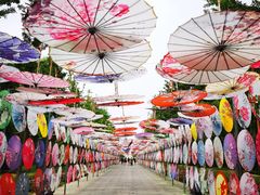 -野鸭湖国家湿地公园