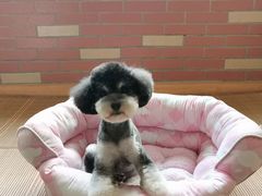 -PETKIT小佩宠物(古北店)