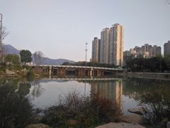 -光明港公园