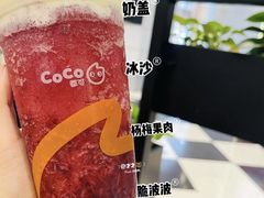 -CoCo都可(友谊阳光店)