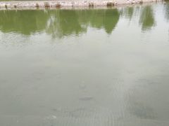 -绿岛公园(滨海新区)
