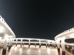 -演武大桥观景平台