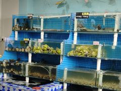 -李哥海鲜烧烤家常菜(孔雀城店)