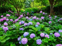 -常州古运河南大街文化旅游区-人民公园