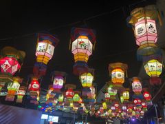 -锦江乐园舞狸花花游园会(夜场专享)