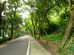 android_upload_pic-湖光岩风景区