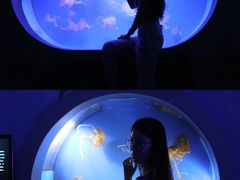-泉城欧乐堡海洋极地世界