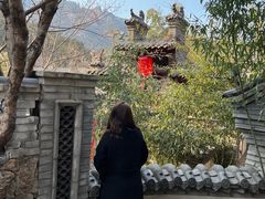 -老张烤羊(王哥庄店)