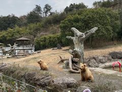 -宁波野生动物园