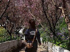 -正宗火盆自助烧烤·烤全羊·柴火鸡(龙泉山店)
