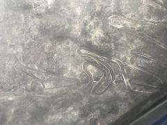 -大连天门山国家森林公园