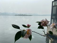 -柳莺湖上·湖景餐厅·江南菜(西湖店)