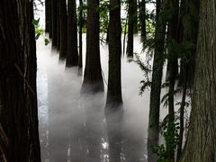 -东湖落雁景区