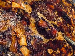 -谢老五跷脚牛肉·非遗传承店