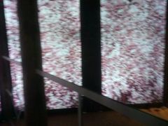 -香港科学馆