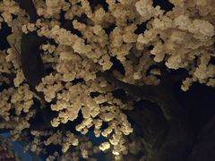 -汤乐汇•足道•SPA生活馆