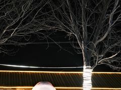 -中旅松花湖滑雪场