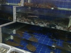 水产区-常家活海鲜小吃(仅一家无分店)