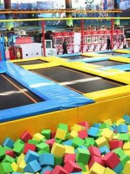 -爱丽丝奇幻乐园