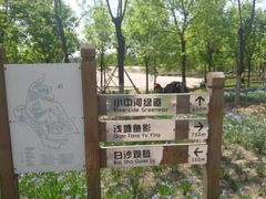 -东郊湿地公园