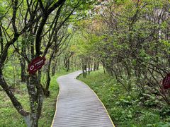 -大围山国家森林公园