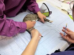 -爱侣·安琦尔宠物医院·中兽医针灸·心内科·狂犬免疫点(宝山区院)
