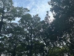 -东莞植物园