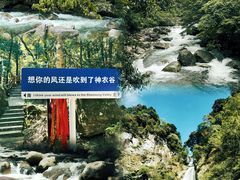 -炎陵县神农谷国家森林公园