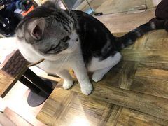 -小时光咖啡馆(开森度假森林店)
