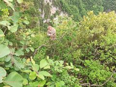 -重庆云阳龙缸景区