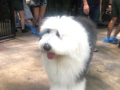 -TrueLove @ Neverland (Husky Cafe)