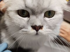 -藏猫猫咖啡主题馆(中央大道店)