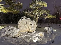 -莲花池公园