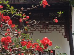 -荆川公园