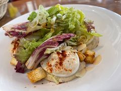 -LA MAISON公鸡和龙(蛇口店)