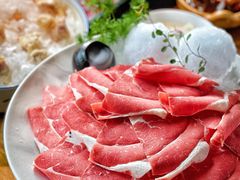 -九鼎轩脆毛肚火锅(三钢里店)
