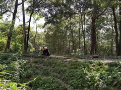 -中国大熊猫保护研究中心雅安碧峰峡基地