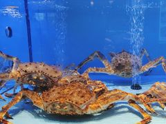 -阿伟海鲜楼·福建菜(延寿店)