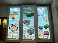 -海口火山口国家地质公园