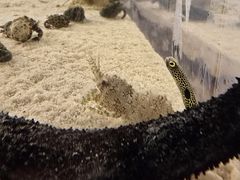 -欢乐海岸海洋奇梦馆
