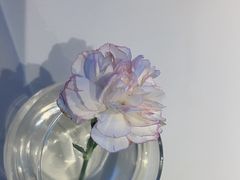 -眉州东坡(石景山店)