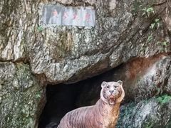 -虎跑公园