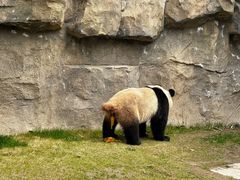 -上海野生动物园