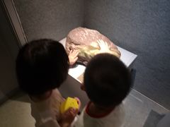 -青田石雕博物馆
