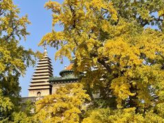 -北京石刻艺术博物馆(五塔寺)