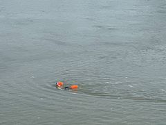 -石井坡(地铁站)